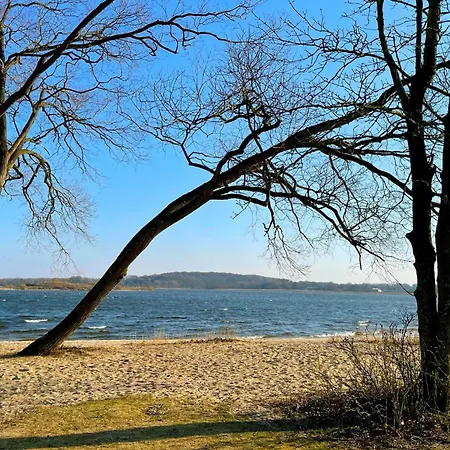 Wasserhaus Schlei Prázdninový dům *